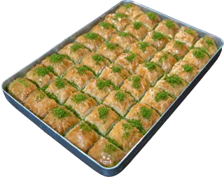 Klasik pistacija — pogled 4